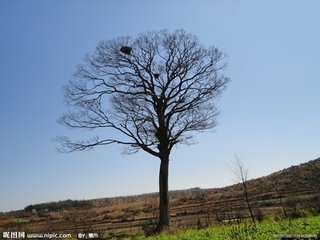 故邺