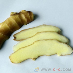 姜都统才第五十