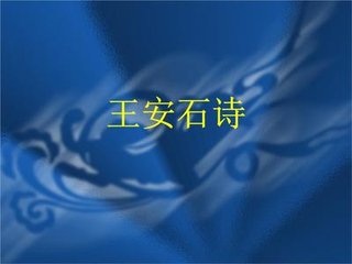 咏史下·王荆公