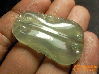 种水芭蕉