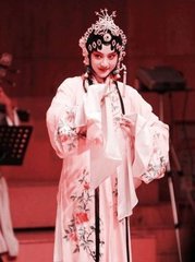 虞美人·春风曾见桃花面