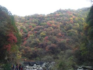 游华山云际寺（一作游少华山甘露寺）