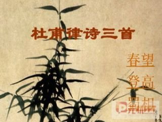 律诗