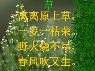 为圃二首