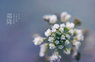 古乐府白紵四时歌