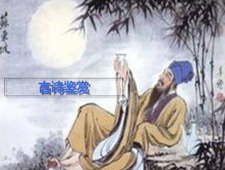 鹧鸪天（戏题周登乐府）