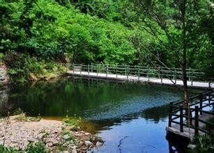 龙池寺望月寄韦使君阎别驾