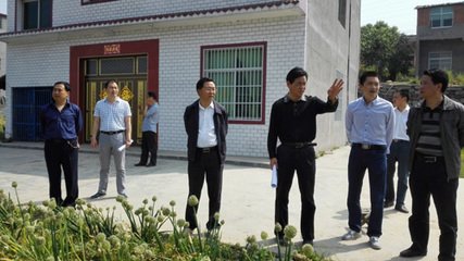 入城似吴竹溪