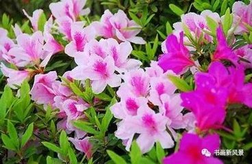 将发永城题陈伯隽蒙轩