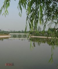 踏莎行·无题