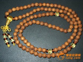 问讯子忱游天台