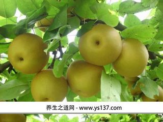 谢王公才惠资阳梨二首