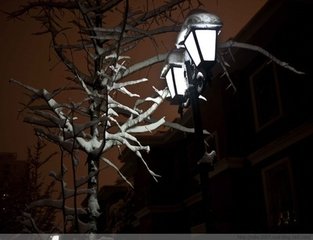 【大石调】青杏子 咏雪