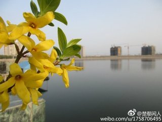 【中吕】快活三过朝天子