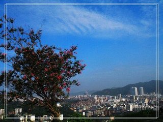 鹧鸪天（山行）