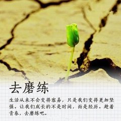 闻馆中宣赐赏雪赋诗之会书五十六字呈秘阁侍
