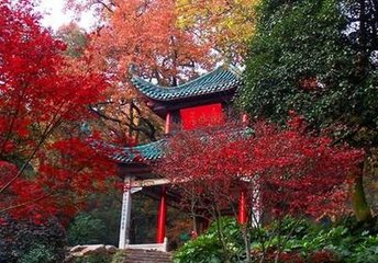 采桑子（赠黄中行）