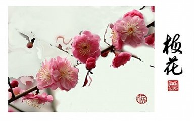 十二月九日雪融夜起达旦