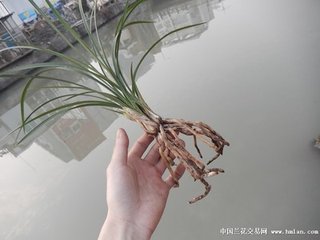 再次前韵代梅答