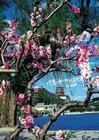 菩萨蛮（元夕立春）