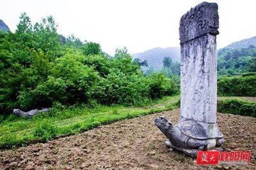嘲元中丞（一作襄阳公堂赏花，为宪与妓人戏