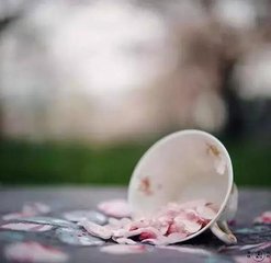 柳梢青·重阳时节