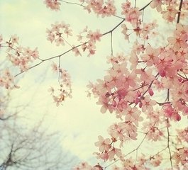 忆少年·无穷官柳