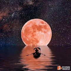 归故园