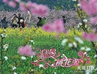 括苍山