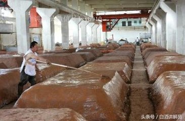 戏张道人不饮酒