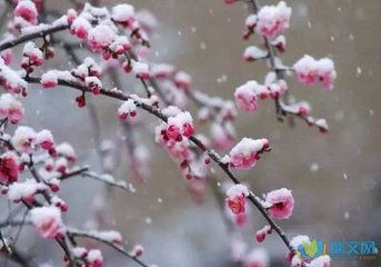 长相思令
