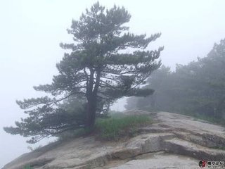 水调歌头·九十九峰下