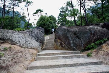送酒与莆萄与来石门