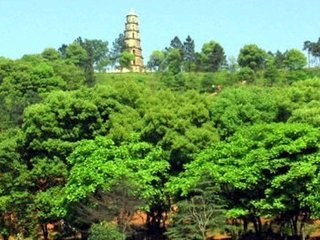 郴江百咏并序·石城