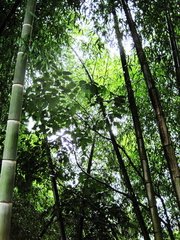 和次子耜久雨韵三首