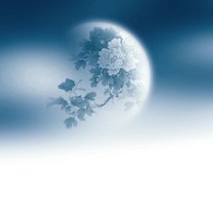 踏莎行（约云庵寻梅）