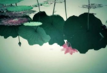 鹧鸪天·竹粉吹香杏子丹