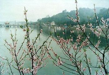 水调歌头·明月到花影