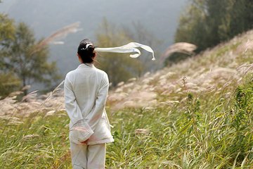 送武庠归隐终南
