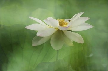严滩