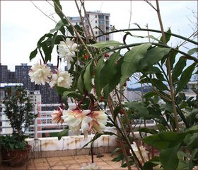 沁园春·四海中间