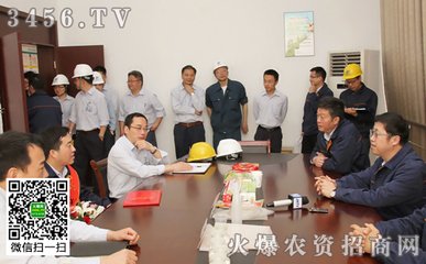 马道士为詹仲明作柳城春色图城门外柳树连堤