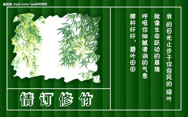 和吴竹修