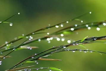 钱塘怀古