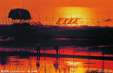 杜大卿浒第一百三十三