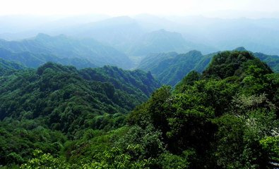 步蟾宫·三年重到严滩路