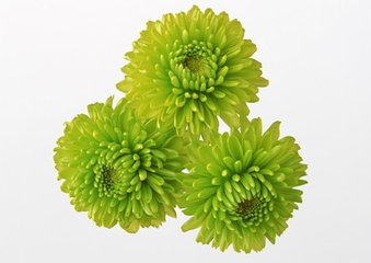 暮冬书怀呈友人（一作喻凫诗）