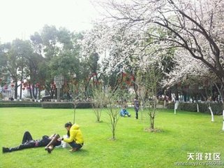 青蛙辞