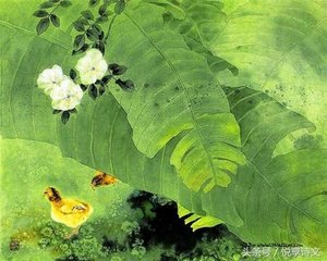 钓船归·绿净春深好染衣