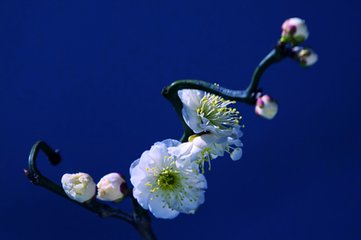 寄陈处士